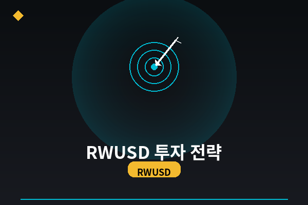 RWUSD 투자 전략 완벽 가이드 (유형별·시장별 활용법)